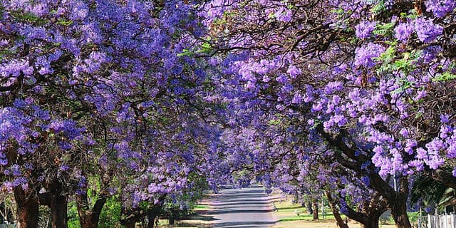 Spring 2023 High School Curriculum